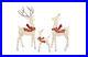 Large_3_Piece_Deer_Family_with_260_Clear_Lights_Christmas_60_Buck_50_Doe_28_01_kb