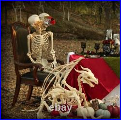 Large Dragon Bones Semi-Posable Plastic Halloween Skeleton Character 4-Ft L #808