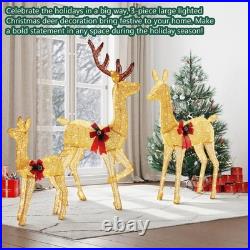 Large Lighted Christmas Deer Family Set Bright LED Warm Lights Standing Reindeer