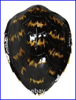 Large Nautical Marine Black Tone Faux Hawksbill Turtle Shell Replica Wall Decor