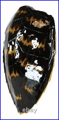Large Nautical Marine Black Tone Faux Hawksbill Turtle Shell Replica Wall Decor