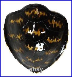 Large Nautical Marine Black Tone Faux Hawksbill Turtle Shell Replica Wall Decor