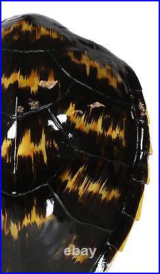 Large Nautical Marine Black Tone Faux Hawksbill Turtle Shell Replica Wall Decor