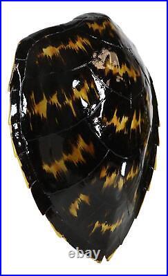 Large Nautical Marine Black Tone Faux Hawksbill Turtle Shell Replica Wall Decor