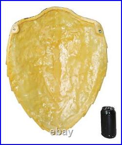 Large Nautical Marine Black Tone Faux Hawksbill Turtle Shell Replica Wall Decor