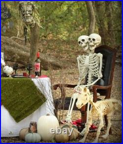 Large Unicorn Pony Halloween Skeleton Posable Legs & Jaw Lit Eyes 43 x 27 #818