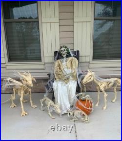 Large Unicorn Pony Halloween Skeleton Posable Legs & Jaw Lit Eyes 43 x 27 #818