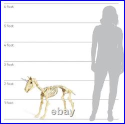 Large Unicorn Pony Halloween Skeleton Posable Legs & Jaw Lit Eyes 43 x 27 #818