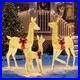 Large_Warm_Lighted_Christmas_Deer_Family_Set_Bright_LED_Lights_Standing_Reindeer_01_glt