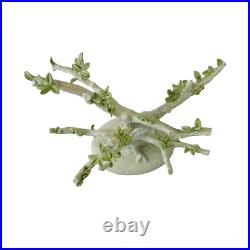 Lenox Floral Easter 12 Ornaments Set With Tree Holiday Decor