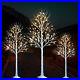 Lighted_Birch_Tree_4_6_8_FT_Set_of_3_Decoration_LED_Lighted_Trees_for_Christmas_01_ll