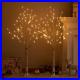 Lighted_Birch_Trees_4FT_48LED_Pre_Lit_White_Tree_Lights_Plug_in_for_Home_Christ_01_itg