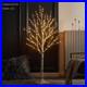 Lighted_Birch_Twig_Tree_with_Fairy_Lights_4FT_200_LED_Lights_for_Indoor_Outdo_01_acxz