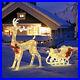 Lighted_Christmas_Reindeer_Sleigh_Outdoor_Indoor_Glittered_Xmas_Decoration_01_dhr