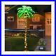 Lighted_Palm_Tree_6FT_162_LED_Artificial_Palm_Tree_with_Coconuts_Tropical_L_01_tyx
