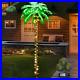Lighted_Palm_Tree_6FT_162_LED_Artificial_Palm_Tree_with_Coconuts_Tropical_Light_01_nhz