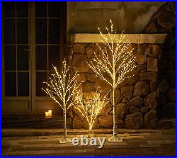 Lighted Twig Birch Tree Plug in with 8 Functions 4FT 200 Warm White and Multi Co