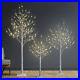Lightshare_Set_of_3_Lighted_Birch_Tree_4FT_6FT_and_8FT_LED_Artificial_Tree_01_vxcl
