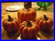 Lot_of_4_Celebrity_owned_Thanksgiving_holiday_ceramic_Pumpkins_01_dr