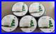 Lot_of_5_spools_GE_Energy_Smart_150_Ct_49_6_ft_Warm_White_C6_LED_String_Lights_01_badk