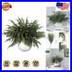 Luxury_18_Real_Touch_Norfolk_Pine_Branches_32_Pcs_Artificial_Greenery_Wea_01_ivv