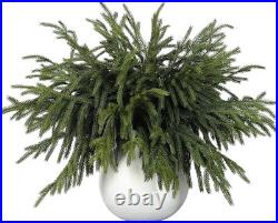 Luxury 18 Real Touch Norfolk Pine Branches 32 Pcs Artificial Greenery, Wea