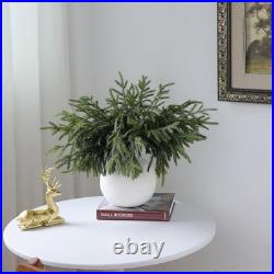 Luxury 18 Real Touch Norfolk Pine Branches 32 Pcs Artificial Greenery, Wea