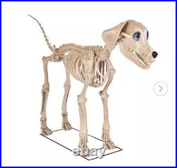 MI LOCAL PICKUP Home Accents Holiday Halloween Home Depot 7 FT Skelly's Dog