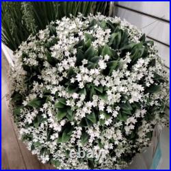 Martha Stewart LILAC FERN WREATH Jasmine artificial UV Resistant X Large 24 NEW Martha Stewart LILAC FERN WREATH Jasmine artificial UV Resistant X Large 24 NEW