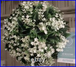 Martha Stewart set 2 TOPIARY PLANT BALL LILAC JASMINE FERN Purple Small 33C NEW Martha Stewart set 2 TOPIARY PLANT BALL LILAC JASMINE FERN Purple Small 33C NEW