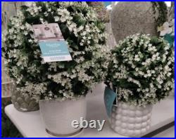 Martha Stewart set 2 TOPIARY PLANT BALL LILAC JASMINE FERN Purple Small 33C NEW Martha Stewart set 2 TOPIARY PLANT BALL LILAC JASMINE FERN Purple Small 33C NEW