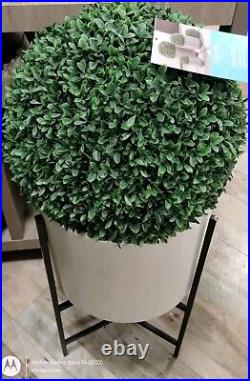 Martha Stewart set 2 TOPIARY PLANT BALL LILAC JASMINE FERN Purple Small 33C NEW Martha Stewart set 2 TOPIARY PLANT BALL LILAC JASMINE FERN Purple Small 33C NEW