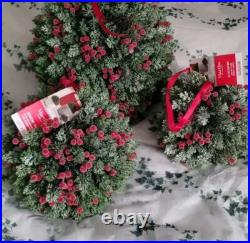 Martha Stewart set 2 TOPIARY PLANT BALL LILAC JASMINE FERN Purple Small 33C NEW Martha Stewart set 2 TOPIARY PLANT BALL LILAC JASMINE FERN Purple Small 33C NEW