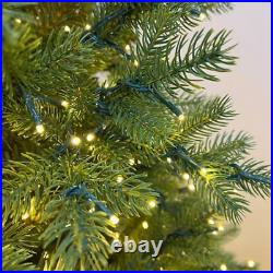 Member'S Mark 12' Norway Fir Pre-Lit Christmas Tree