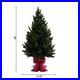 Member_s_Mark_48_Pre_Lit_Topiary_in_Red_Bow_Container_01_zjhb