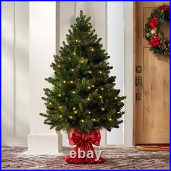 Member's Mark 48 Pre-Lit Topiary in Red Bow Container