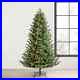 Member_s_Mark_7_5_Linden_Fir_Pre_Lit_Christmas_Tree_01_kksy