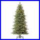Member_s_Mark_7_Slim_Linden_Fir_Pre_Lit_Christmas_Tree_Free_Shipping_01_exf