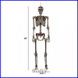 Member's Mark Interactive Talking Skeletons with LED Light-Up Eyes, Set of 2 Member's Mark Interactive Talking Skeletons with LED Light-Up Eyes, Set of 2