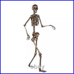 Member's Mark Interactive Talking Skeletons with LED Light-Up Eyes, Set of 2 Member's Mark Interactive Talking Skeletons with LED Light-Up Eyes, Set of 2