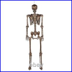 Member's Mark Interactive Talking Skeletons with LED Light-Up Eyes, Set of 2 Member's Mark Interactive Talking Skeletons with LED Light-Up Eyes, Set of 2
