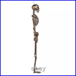 Member's Mark Interactive Talking Skeletons with LED Light-Up Eyes, Set of 2 Member's Mark Interactive Talking Skeletons with LED Light-Up Eyes, Set of 2
