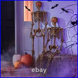 Member's Mark Interactive Talking Skeletons with LED Light-Up Eyes, Set of 2 Member's Mark Interactive Talking Skeletons with LED Light-Up Eyes, Set of 2
