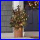Member_s_Mark_Pre_Lit_3_5_Holiday_Porch_Topiary_Red_01_hiir