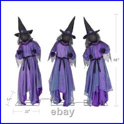 Member's Mark Pre-Lit Animated Witches Set of 3 Halloween Decor