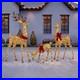 Member_s_Mark_Pre_Lit_LED_Animated_Deer_Family_Christmas_Decor_Set_of_3_01_xize