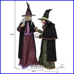 Members Mark Pre-Lit Animated Crystal Ball Witches Halloween Decor Set of 2 Members Mark Pre-Lit Animated Crystal Ball Witches Halloween Decor Set of 2