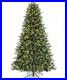 Mr_Christmas_Alexa_Compatible_Smart_Home_Pre_Lit_Artificial_Christmas_Tree_7ft_01_jugr