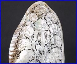 Mussels Clam Shell Carving Skulls + Premium Stand Wooden Base, Decorative Shells