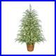 My_Texas_House_4FT_Pre_Lit_Cypress_Pot_Artificial_Christmas_Tree_4_Foot_NEW_01_iypy